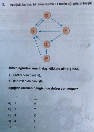 3. Aşağıda karasal bir ekosisteme ait besin ağı gösterilmiştir.
X
T
Y
Z
W
Besin ağındaki enerji akışı dikkate alındığında,
• üretici olan canlı (1),
• saprofit olan canli (11)
aşağıdakilerden hangisinde doğru verilmiştir?
A) X
- X E
B) T
= 3 >NEN
C) X
D) X