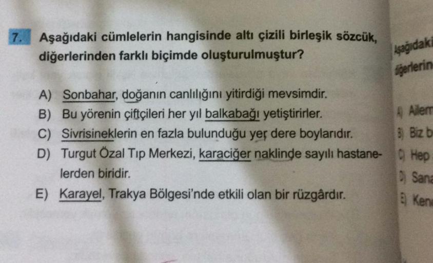 7. Aşağıdaki cümlelerin hangisinde altı çizili birleşik sözcük,
diğerlerinden farklı biçimde oluşturulmuştur?
sağıdak
igerlerin
A Alem
9 Biz b
A) Sonbahar, doğanın canlılığını yitirdiği mevsimdir.
B) Bu yörenin çiftçileri her yıl balkabağı yetiştirirler.
C