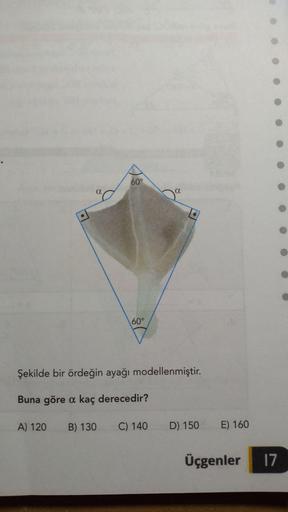 60°
a
60°
Şekilde bir ördeğin ayağı modellenmiştir.
Buna göre a kaç derecedir?
A) 120
B) 130
C) 140
D) 150
E) 160
Üçgenler
17