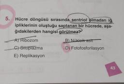 5.
Hücre döngüsü sırasında sentriol olmadan ig
ipliklerinin oluştuğu saptanan bir hücrede, aşa-
ğıdakilerden hangisi görülmez?
B Nükleik asit
A) Ribozom
C) Sitoplazma
E) Replikasyon
D) Fotofosforilasyon
43