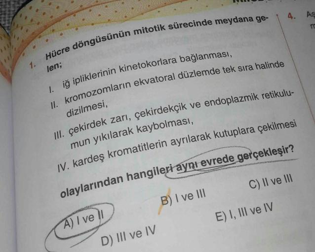 Hücre döngüsünün mitotik sürecinde meydana ge-
1. iğ ipliklerinin kinetokorlara bağlanması,
II. kromozomların ekvatoral düzlemde tek sıra halinde
IV. kardeş kromatitlerin ayrılarak kutuplara çekilmesi
olaylarından hangileri aynı evrede gerçekleşir?
III. çe