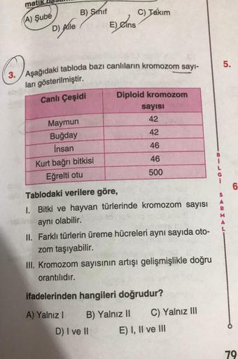 Aşağıdaki tabloda bazı canlıların kromozom sayi-
mati
(A) Şube
D) Alle
B) Sinif
C) Takım
E) Cins
6
5.
3.
ları gösterilmiştir.
Canlı Çeşidi
Diploid kromozom
sayisi
42
42
46
Maymun
Buğday
İnsan
Kurt bağrı bitkisi
Eğrelti otu
46
500
6
S
Tablodaki verilere gör