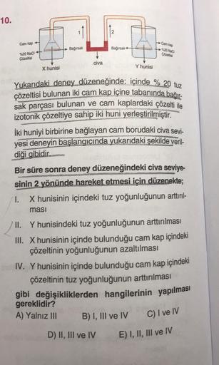 Yukarıdaki deney düzeneğinde: içinde % 20 tuz
çözeltisi bulunan iki cam kap içine tabanında bağır:
10.
Cam kap +
Bağirsak
Batgirsak
ngiti
%20 Naci
Çözeltisi
civa
Xhunisi
Y hunisi
sak parçası bulunan ve cam kaplardaki çözelti ile
izotonik çözeltiye sahip ik