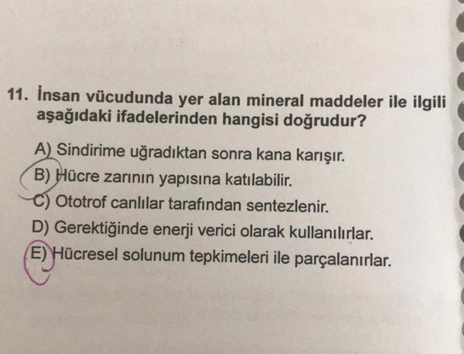 İnsan vücudunda yer alan mineral maddeler ile ilgili aşağıdaki ifadelerinden hangisi doğrudur? 
A) Sindirime uğradıktan sonra kana karışır. 
B) Hücre zarının yapısına katılabilir. 
C) Ototrof canlılar tarafından sentezlenir. 
D) Gerektiğinde enerji v