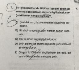 4.
1. Bir siyanobakteride DNA'nın kendini eşlemesi
sırasında gerçekleşen olaylarla ilgili olarak aşa-
ğıdakilerden hangisi yanlıştır?
&
A) Çekirdek zarı, lizozom enzimleri sayesinde par-
çalanır.
B) iki zincir arasındaki zayıf hidrojen bağları kopa-
C) Her iki zinciri de kalıp görevi yapar.
D) DNA polimeraz enzimi sayesinde yeni nükleotit
zincirleri
oluşur.
E) Oluşan iki DNA'nin zincirlerinden biri eski, biri
Nahin
yeni nükleotitlerden meydana gelir.