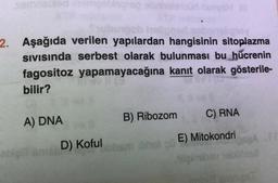 noor SH.
2. Aşağıda verilen yapılardan hangisinin sitoplazma
SIVISında serbest olarak bulunması bu hücrenin
fagositoz yapamayacağına kanıt olarak gösterile-
bilir?
A) DNA
B) Ribozom
C) RNA
nible
D) Koful
obamihel E) Mitokondri
timevebiles