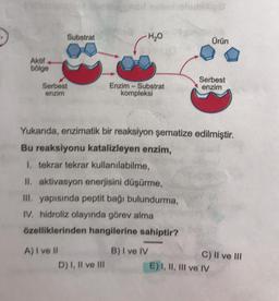 Substrat
H20
Ürün
Akut
bölge
Serbest
enzim
Enzim - Substrat
kompleksi
Serbest
enzim
Yukarıda, enzimatik bir reaksiyon Şematize edilmiştir.
Bu reaksiyonu katalizleyen enzim,
I tekrar tekrar kullanılabilme,
II. aktivasyon enerjisini düşürme,
III, yapısında peptit bağı bulundurma,
IV, hidroliz olayında görev alma
özelliklerinden hangilerine sahiptir?
A) I ve II
B) I ve IV
C) II ve III
D) I, II ve III
E) I, II, III ve IV