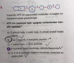 2
5.
3
Yukarıda, ATP nin yapısındaki moleküller ve bağlar nu-
maralandırılarak gösterilmiştir.
ATP nin yapısıyla ilgili, aşağıda verilenlerden han-
gisi yanlıştır?
A) 2 glikozit bağı, 4 ester bağı, 6 yüksek enerjili fosfat
bağıdır.
B) ve 3 organik, 5 inorganik yapılıdır. X
C) 1 adenin bazı, 3 riboz şekeridir.
D 6 numaralı bağın kurulması, defosforilasyondur.V
E) 2, 4 ve 6 numaralı bağların kurulması sırasında su
açığa çıkar.