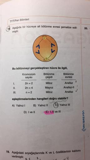 TYT/Fen Bilimleri
20.
miştir.
(18. Aşağıda bir hücreye ait bölünme evresi şematize edil-
19. Aşağıdaki soyağaçlarında k ve L özelliklerinin kalıtımı
Bu bölünmeyi gerçekleştiren hücre ile ilgili,
Kromozom Bölünme Bölünme
sayisi
çeşidi
evresi
1.
2n = 2
Mitoz