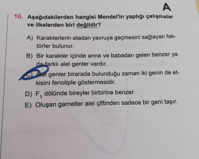 A
16. Aşağıdakilerden hangisi Mendel'in yaptığı çalışmalar
ve ilkelerden biri değildir?
A) Karakterlerin atadan yavruya geçmesini sağlayan fak-
törler bulunur.
B) Bir karakter içinde anne ve babadan gelen benzer ya
da farklı alel genler vardır.
O Alel genl