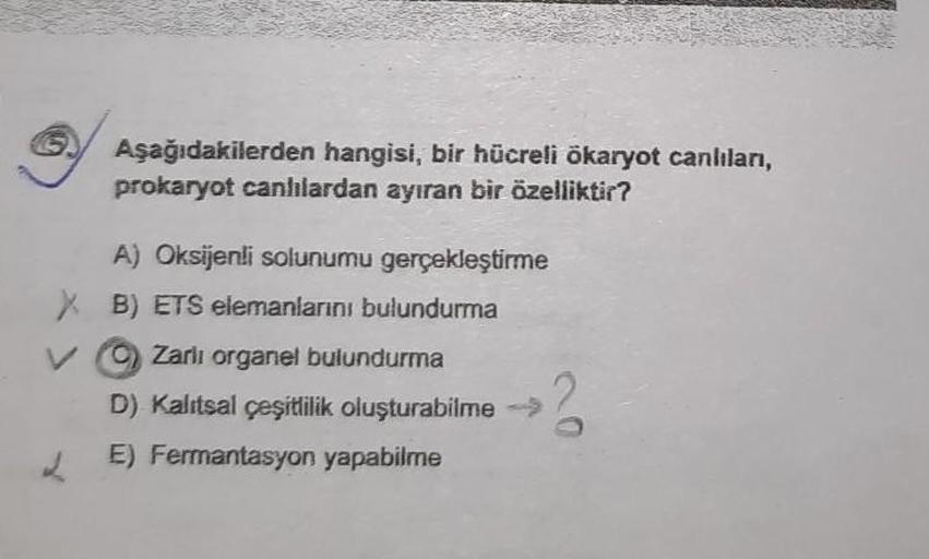 Aşağıdakilerden hangisi, bir hücreli ökaryot canlıları,
prokaryot canhlardan ayıran bir özelliktir?
A) Oksijenli solunumu gerçekleştirme
B) ETS elemanlarını bulundurma
X
V
Zarlı organel bulundurma
D) Kalıtsal çeşitlilik oluşturabilme -->
E) Fermantasyon ya