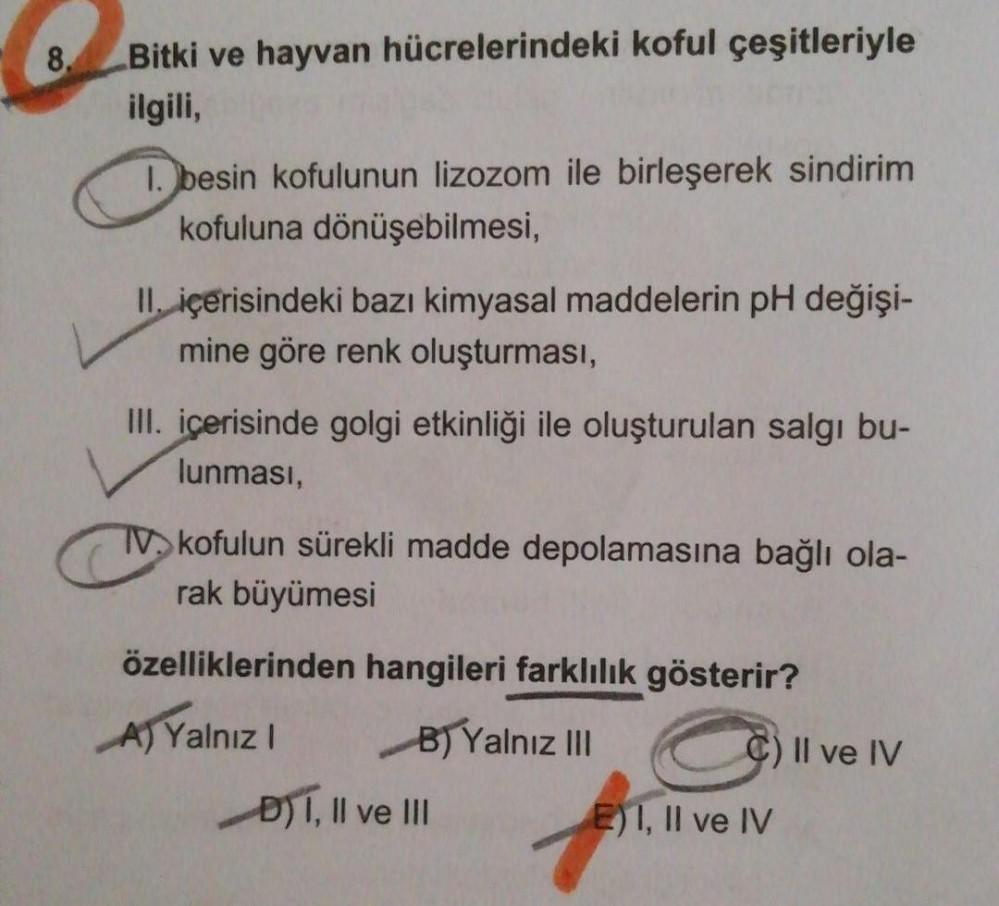 8 Bitki Ve Hayvan H crelerindeki Koful e itleriyle Ilgili 1 Besin 8 Bitki Ve Hayvan H crelerindeki Koful e itleriyle Ilgili 1 Besin