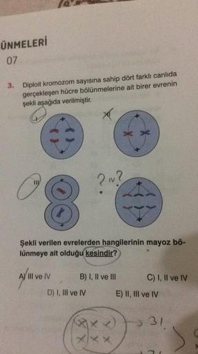 ÜNMELERİ
07
3. Diploit kromozom sayısına sahip dört farklı canlıda
gerçekleşen hücre bölünmelerine ait birer evrenin
şekli aşağıda verilmiştir.
X
C
2 ?
Şekli verilen evrelerden hangilerinin mayoz bö-
lünmeye ait olduğu kesindir?
A) III ve IV
B) I, II ve II