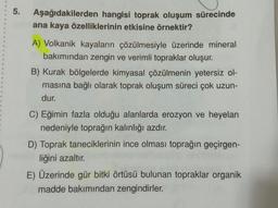 5.
o
Aşağıdakilerden hangisi toprak oluşum sürecinde
ana kaya özelliklerinin etkisine örnektir?
A) Volkanik kayaların çözülmesiyle üzerinde mineral
bakımından zengin ve verimli topraklar oluşur.
B) Kurak bölgelerde kimyasal çözülmenin yetersiz ol-
masına bağlı olarak toprak oluşum süreci çok uzun-
dur.
C) Eğimin fazla olduğu alanlarda erozyon ve heyelan
nedeniyle toprağın kalınlığı azdır.
D) Toprak taneciklerinin ince olması toprağın geçirgen-
liğini azaltır.
E) Üzerinde gür bitki örtüsü bulunan topraklar organik
madde bakımından zengindirler.
