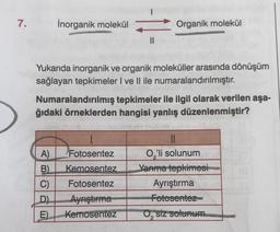 7.
Inorganik molekül
Organik molekül
Yukarıda inorganik ve organik moleküller arasında dönüşüm
sağlayan tepkimeler I ve II ile numaralandırılmıştır.
Numaralandırılmış tepkimeler ile ilgil olarak verilen aşa-
ğıdaki örneklerden hangisi yanlış düzenlenmiştir?
1
Fotosentez
A)
B)
Kemosentez
11
O,'li solunum
Yanma tepkimesi
Ayrıştırma
Fotosentez-
0,"siz solunum
C)
Fotosentez
D) Ayrıştırma
E) Kemosentez
