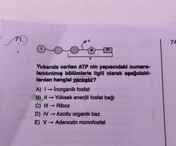 71.
74
M
V
Yukarıda verilen ATP nin yapısındaki numara-
landırılmış bölümlerle ilgili olarak aşağıdaki-
lerden hangisi yanlıştır?
A) I Inorganik fosfat
B) II
Yüksek enerjili fostat bağı
C) III
→ Riboz
D) IV → Azotlu organik baz
E) V → Adenozin monofosfat
-