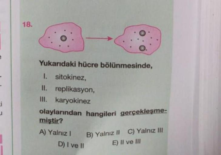 18.
ci
Yukarıdaki hücre bölünmesinde,
I. sitokinez,
II. replikasyon,
III. karyokinez
olaylarından hangileri gerçekleşme-
miştir?
A) Yalniz !
D) I ve II
B) Yalnız II C) Yalnız III
E) II ve III