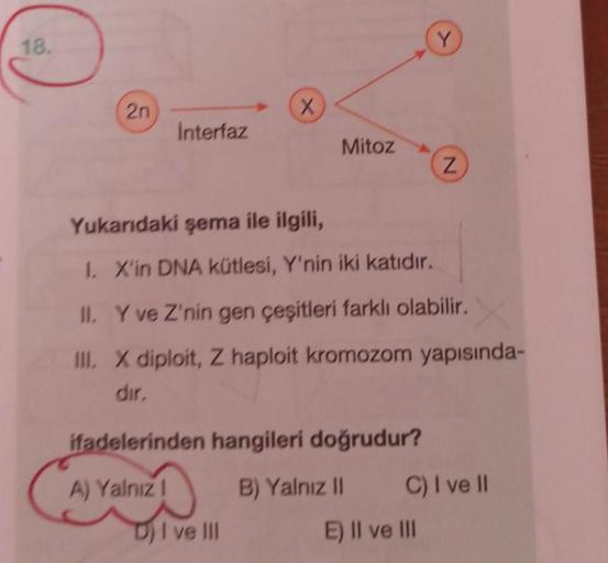 Y
18.
2n
X
Interfaz
Mitoz
Z
Yukarıdaki şema ile ilgili,
1. X'in DNA kütlesi, Y'nin iki katıdır.
II. Y ve Z'nin gen çeşitleri farklı olabilir.
III. X diploit, Z haploit kromozom yapısında-
dir
ifadelerinden hangileri doğrudur?
A) Yalnız! B) Yalnız II C) I v