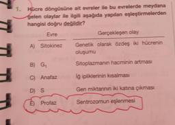 1. Hücre döngüsüne ait evreler ile bu evrelerde meydana
gelen olaylar ile ilgili aşağıda yapılan eşleştirmelerden
hangisi doğru değildir?
Evre
Gerçekleşen olay
A) Sitokinez
Genetik olarak özdeş iki hücrenin
oluşumu
B) G
Sitoplazmanın hacminin artması
C) Anafaz
lğ ipliklerinin kısalması
D) S
Gen miktannın iki katına çıkması
E) Profaz
Sentrozomun eşlenmesi