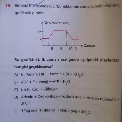 10. Bir bitki hücresindeki DNA miktarının zamana bağlı değişimi
grafikteki gibidir.
DNA miktarı (mg)
2xt
X
Zaman
I II III IV V
Bu grafikteki, II. zaman aralığında aşağıdaki olaylardan
hangisi geçekleşmez?
A) (n) Amino asit - Protein + (n - 1)H20
B) ADP+P +