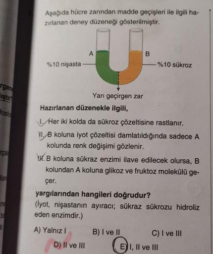 Aşağıda hücre zarından madde geçişleri ile ilgili ha-
zırlanan deney düzeneği gösterilmiştir.
A
B
%10 nişasta
%10 sükroz
rgane
liştır?
fosto
rçat
Yarı geçirgen zar
Hazırlanan düzenekle ilgili,
1. Her iki kolda da sükroz çözeltisine rastlanır.
VI. B koluna 