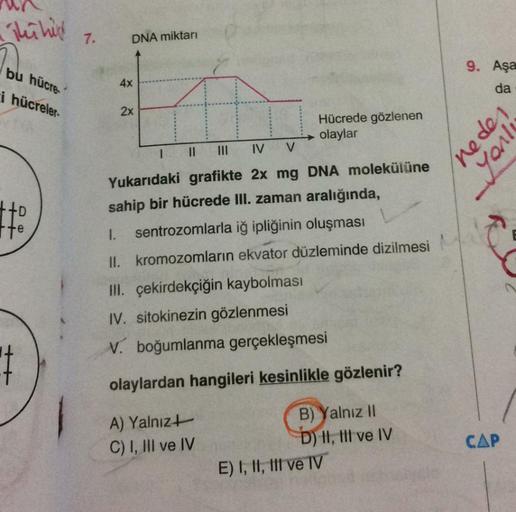 The hind
7.
DNA miktarı
bu hücre
i hücreler-
9. Aşa
da
4x
2x
Hücrede gözlenen
olaylar
nedes
Jank
IV
V
1
+D
fte
Yukarıdaki grafikte 2x mg DNA molekülüne
sahip bir hücrede III. zaman aralığında,
I. sentrozomlarla iğ ipliğinin oluşması
II. kromozomların ekvat