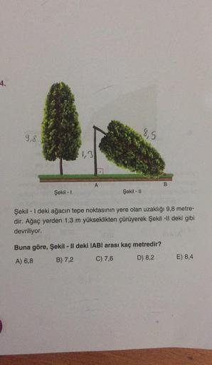 4.
8,5
9,8
1,3
A
B
Şekil - 1
Şekil - II
Şekil - I deki ağacın tepe noktasının yere olan uzaklığı 9,8 metre-
dir. Ağaç yerden 1,3 m yükseklikten çürüyerek Şekil -Il deki gibi
devriliyor.
Buna göre, Şekil - Il deki IABI arası kaç metredir?
B) 7,2
C) 7,6
A) 6