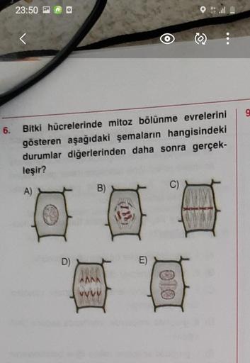 23:50
H+ ..ll
<
9
6.
Bitki hücrelerinde mitoz bölünme evrelerini
gösteren aşağıdaki şemaların hangisindeki
durumlar diğerlerinden daha sonra gerçek-
leşir?
C)
A)
B)
O E
D)
E)
An
VVVV