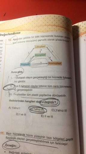 Aşağıdaki şekilde bir bitki hücresinde bulunan plastitlerin birbirine dönüşümü şematik olarak gösterilmiştir.
Buna göre,
I. 1 numaralı olayın gerçekleştiği bir hücrede fotosentez görülür.
II. ve 5 numaralı olaylar bitkinin tüm canlı hücrelerinde g