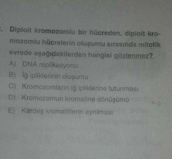 . Diploit kromozomlu bir hücreden, diploit kro-
mozomlu hücrelerin oluşumu sırasında mitotik
evrede aşağıdakilerden hangisi gözlenmez?
A) DNA replikasyonu
B) lğ ipliklerinin oluşumu
C) Kromozomların iğ ipliklerine tutunması
D) Kromozomun kromatine dönüşümü