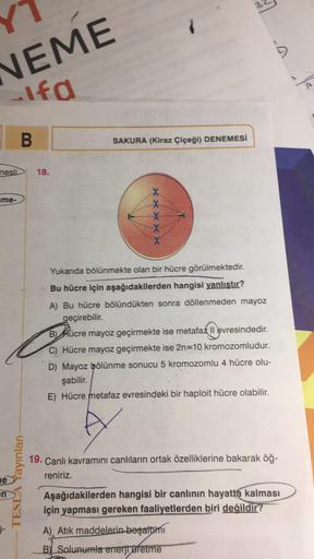 NEME
ifa
B
SAKURA (Kiraz Çiçeği) DENEMESİ
nesli
18.
ame-
XXXXX
Yukarıda bölünmekte olan bir hücre görülmektedir.
Bu hücre için aşağıdakilerden hangisi yanlıştır?
A) Bu hücre bölündükten sonra döllenmeden mayoz
geçirebilir.
B) Hücre mayoz geçirmekte ise met