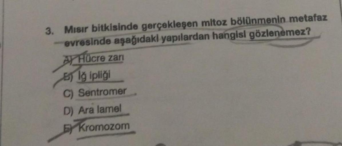 3. Misir bitkisinde gerçekleşen mitoz bölünmenin metafaz
-evresinde aşağıdaki yapılardan hangisi gözlenemez?
Ay Hücre zar
Big ipliği
C) Sentromer
D) Ara lamel
E) Kromozom