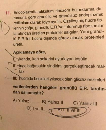 11. Endoplazmik retikulum ribozom bulundurma du-
rumuna göre granüllü ve granülsüz endoplazmik
retikulum olarak ikiye ayrılır. Özelleşmiş hücre tip-
lerinin çoğu, granüllü E.R.'ye tutunmuş ribozomlar
tarafından üretilen proteinler salgılar. Yani granül-
lü