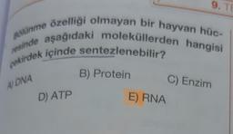 9. TE
Bölünme özelliği olmayan bir hayvan hüc-
resinde aşağıdaki moleküllerden hangisi
pekirdek içinde sentezlenebilir?
B) Protein
C) Enzim
A DNA
D) ATP
E) RNA