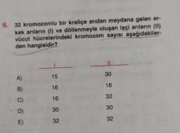 32 kromozomlu bir kraliçe arıdan meydana gelen erkek arıların (l) ve döllenmeyle oluşan işçi arıların (II) vücut hücrelerindeki kromozom sayısı aşağıdakilerden hangisidir?
A) 15-30 B) 16-16 C) 16-32 D) 30-30 E) 32-32