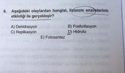 6. Aşağıdaki olaylardan hangisi, lizozom enzimlerinin
etkinliği ile gerçekleşir?
A) Dehidrasyon
C) Replikasyon
B) Fosforilasyon
D) Hidroliz
E) Fotosentez
