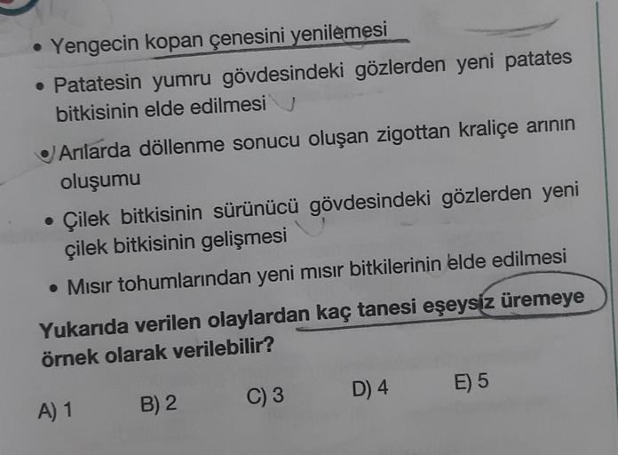 Yengecin kopan çenesini yenilemesi
• Patatesin yumru gövdesindeki gözlerden yeni patates
bitkisinin elde edilmesi
Anlarda döllenme sonucu oluşan zigottan kraliçe arının
oluşumu
Çilek bitkisinin sürünücü gövdesindeki gözlerden yeni
çilek bitkisinin gelişmes