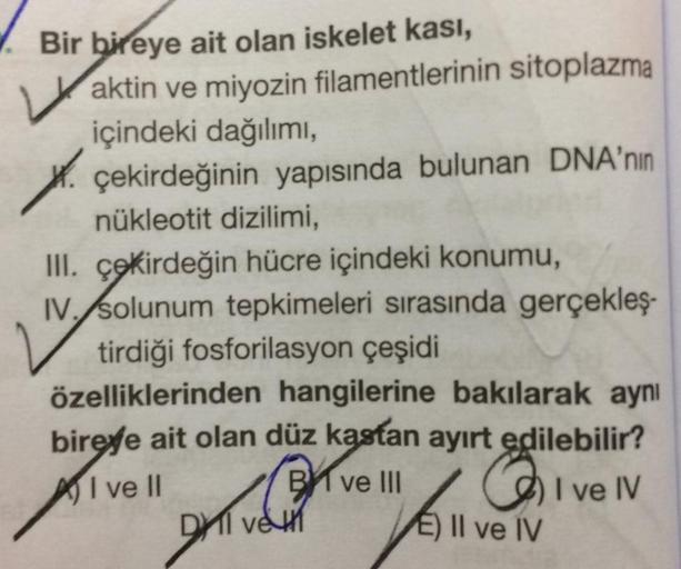 4.
Bir bireye ait olan iskelet kası,
w aktin ve miyozin filamentlerinin sitoplazma
içindeki dağılımı,
çekirdeğinin yapısında bulunan DNA'nın
nükleotit dizilimi,
III. çekirdeğin hücre içindeki konumu,
IV. /solunum tepkimeleri sırasında gerçekleş-
tirdiği fo