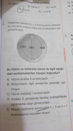 den hangileri doğrudur?
A) Yalnız i
B) Yalnız 11
C) M
D) A
k
C) I ve III
D) V ve 111
E) I, II ve III
E)
2
Aşağıdaki şekilde 2n = 4 kromozomlu ökaryot
bir hücrenin mayoz bölünme evrelerinden biri
gösterilmiştir.
5.
A
sa
A
3 83
Palme Yayınevi
Bu hücre ve bölünme süreci ile ilgili aşağı-
daki açıklamalardan hangisi doğrudur?
A) Hücre anafaz II evresindedir.
B) Bölünmenin ilgili evresinde çekirdek zarı
oluşur.
C) Hücre metafaz l evresindedir.
D) Anafaz II evresinde kardeş kromatitlerde
ayrılmama olayı gözlenmiştir.
E) Mayoz bölünme sonucunda n = 3 ve n = 1
kromozomlu hücreler oluşur.
6