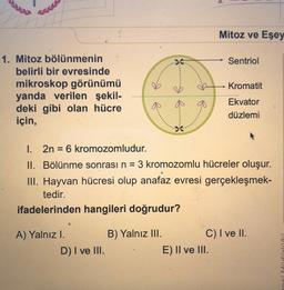 Mitoz ve Eşey
Sentriol
X
Kromatit
1. Mitoz bölünmenin
belirli bir evresinde
mikroskop görünümü
yanda verilen şekil-
deki gibi olan hücre
için,
Ekvator
düzlemi
..
I. 2n = 6 kromozomludur.
II. Bölünme sonrası n = 3 kromozomlu hücreler oluşur.
III. Hayvan hücresi olup anafaz evresi gerçekleşmek-
tedir.
ifadelerinden hangileri doğrudur?
A) Yalnız I.
D) I ve III.
B) Yalnız III.
C) I ve II.
E) Il ve III.
lidirligi
