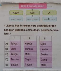 5.
Bitki Formasyonları
Ağaç
Çali
Ot
1.....
Yukarıda boş bırakılan yere aşağıdakilerden
hangileri yazılırsa, şema doğru şekilde tamam-
lanır?
II
III
A) Tayga
Kaktüs
Maki
B) Maki
Tundra
Savan
C) Tayga
Maki
Bozkır
D) Tundra
Çayır
Garig
E) Savan
Tayga
Maki
