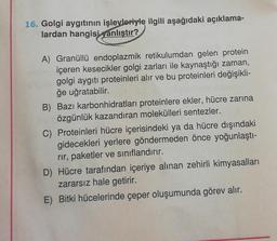 16. Golgi aygıtının işlevleriyle ilgili aşağıdaki açıklama-
lardan hangisi yanlıştır?
A) Granüllü endoplazmik retikulumdan gelen protein
içeren kesecikler golgi zarları ile kaynaştığı zaman,
golgi aygıtı proteinleri alır ve bu proteinleri değişikli-
ğe uğratabilir.
B) Bazı karbonhidratları proteinlere ekler, hücre zarına
özgünlük kazandıran molekülleri sentezler.
C) Proteinleri hücre içerisindeki ya da hücre dışındaki
gidecekleri yerlere göndermeden önce yoğunlaştı-
rir, paketler ve sınıflandırır.
D) Hücre tarafından içeriye alınan zehirli kimyasalları
zararsız hale getirir.
E) Bitki hücelerinde çeper oluşumunda görev alır.