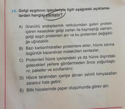 16. Golgi aygıtının işlevleriyle ilgili aşağıdaki açıklama-
lardan hangisi yanlıştır?
A) Granüllü endoplazmik retikulumdan gelen protein
içeren kesecikler golgi zarları ile kaynaştığı zaman,
golgi aygıtı proteinleri alır ve bu proteinleri değişikli-
ğe uğratabilir.
B) Bazı karbonhidratları proteinlere ekler, hücre zarına
özgünlük kazandıran molekülleri sentezler.
C) Proteinleri hücre içerisindeki ya da hücre dışındaki
gidecekleri yerlere göndermeden önce yoğunlaştı-
rir, paketler ve sınıflandırır.
D) Hücre tarafından içeriye alınan zehirli kimyasalları
zararsız hale getirir.
E) Bitki hücelerinde çeper oluşumunda görev alır.
