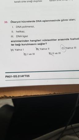 kanatlı sirke sineği oluşması
kanalil Sil
38. Ökaryot hücrelerde DNA eşlenmesinde görev alan;
I. DNA polimeraz,
II. helikaz,
III. DNA ligaz
enzimlerinden hangileri nükleotitler arasında fosfodi
ter bağı kurulmasını sağlar?
\A) Yalnız
B) Yalnız 11
C) Yalnız III
b) I ve III
E) II ve III
PA01-SS.01 AYT05