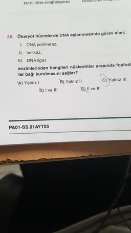 kanatlı sirke sineği oluşması
kanalil Sil
38. Ökaryot hücrelerde DNA eşlenmesinde görev alan;
I. DNA polimeraz,
II. helikaz,
III. DNA ligaz
enzimlerinden hangileri nükleotitler arasında fosfodi
ter bağı kurulmasını sağlar?
\A) Yalnız
B) Yalnız 11
C) Yalnız III
b) I ve III
E) II ve III
PA01-SS.01 AYT05
