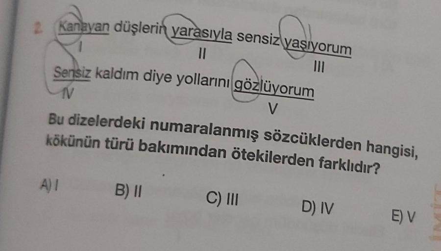 2 Kanayan düşlerin yarasıyla sensiz yaşıyorum
II
Sensiz kaldım diye yollarını gözlüyorum
TV
V
Bu dizelerdeki numaralanmış sözcüklerden hangisi,
kökünün türü bakımından ötekilerden farklıdır?
A) 1
B) 11
C) III
D) IV
E V