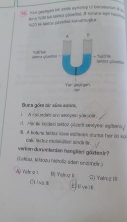 16. Yan geçirgen bir zarla ayrılmış U borusunun
luna %30 luk laktoz çözeltisi, B koluna eşit has
%20 lik laktoz çözeltisi konulmuştur.
A
B
%30'luk
laktoz çözeltisi --
%20'lik
laktoz çözelti
Yarı geçirgen
zar
1.
Buna göre bir süre sonra,
A kolundaki sıvı seviyesi yükselir.
II. Her iki koldaki laktoz çözelti seviyesi eşitlenir
III. A koluna laktaz ilave edilecek olursa her iki kol
daki laktoz molekülleri sindirilir. ✓
verilen durumlardan hangileri gözlenir?
(Laktaz, laktozu hidroliz eden enzimdir.)
A) Yalnız! B) Yalnız 11
D) I ve III
C) Yalnız III
E) II ve III
