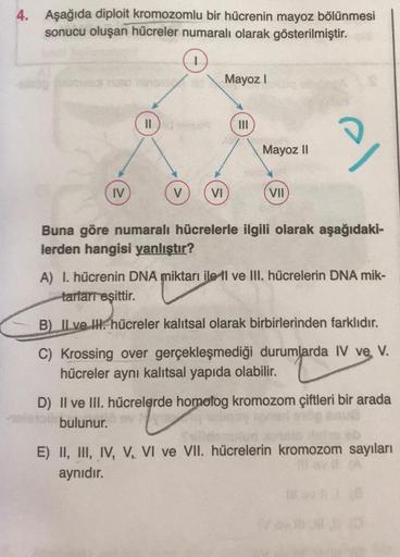 4. Aşağıda diploit kromozomlu bir hücrenin mayoz bölünmesi
sonucu oluşan hücreler numaralı olarak gösterilmiştir.
Mayoz !
Mayoz 11
D
IV
VI
VII
Buna göre numaralı hücrelerle ilgili olarak aşağıdaki-
lerden hangisi yanlıştır?
A) I. hücrenin DNA miktarı ile i