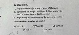 To
Bu olayla ilgili,
I likel canlılarda rejenerasyon yeteneği fazladır.
II. Yenilenme ile oluşan canlıların kalıtsal materyali,
ana canlınınki ile aynı özellikleri taşır.
III. Rejenerasyon, omurgalılarda da bir üreme şeklidir.
ifadelerinden hangileri yanlıştır?
V
A) Yalnız !
B) Yalniz 11
C) Yalnız Ill
D) I ve 11
E) II ve III
