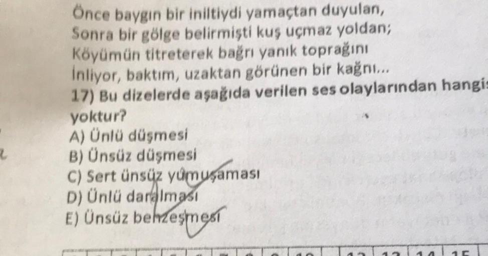 Önce baygın bir iniltiydi yamaçtan duyulan,
Sonra bir gölge belirmisti kuş uçmaz yoldan;
Köyümün titreterek bağrı yanık toprağını
Inliyor, baktım, uzaktan görünen bir kağnı...
17) Bu dizelerde aşağıda verilen ses olaylarından hangis
yoktur?
A) Ünlü düşmesi